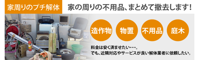 家周りのプチ解体